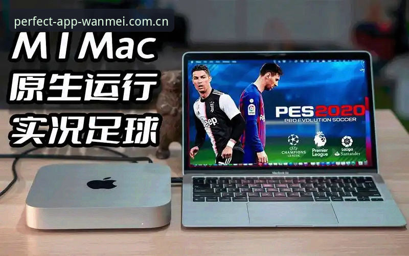 揭秘完美体育登录方式哪个好？老用户亲测背后的真相